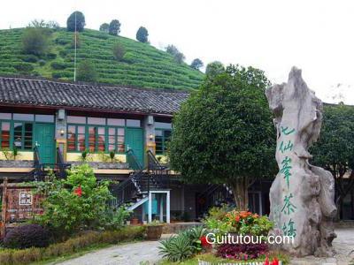七仙峰茶场旅游图片