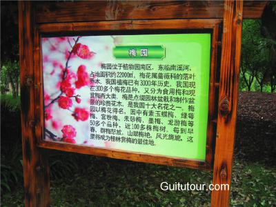 桂林植物园旅游图片