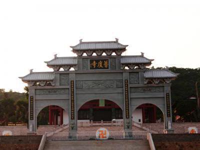 普度寺旅游图片
