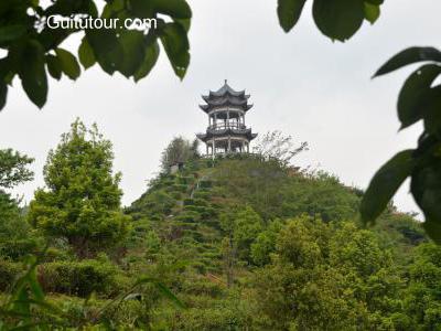 茶山金字塔旅游图片