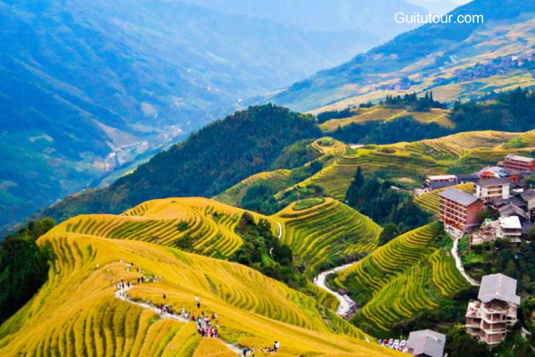 桂林旅游景点:龙脊梯田