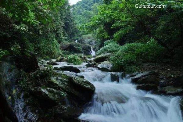 柳州旅游景点:红茶沟森林公园