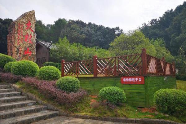 贺州旅游景点:大桂山国家森林公园