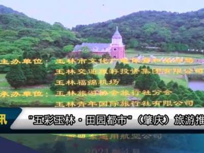 广西玉林旅游视频:文旅快讯丨“五彩玉林·田园都市”（肇庆）旅游推介会