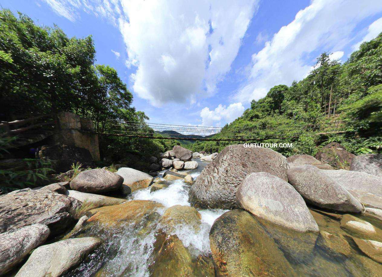 屏峰雨林旅游图片
