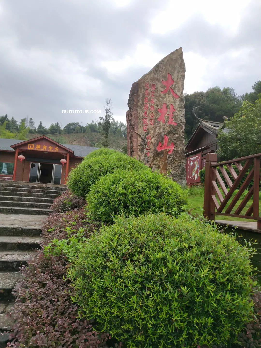 大桂山国家森林公园旅游图片