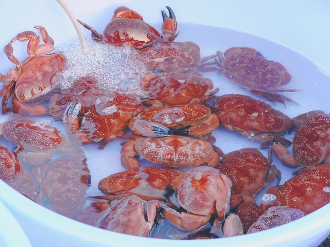 广西北海涠洲岛美食攻略：吃货最爱的涠洲岛海鲜市场